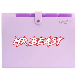 organizer-na-dokumenty-fiolet-a4imp-mr-beast-07