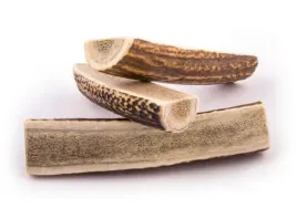 4dogs-gryzak-z-poroza-xl-easy