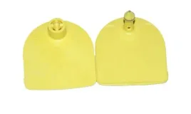 kolczyk-multiflex-u-czesc-meska-i-zenska-zolty-caisley