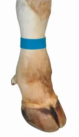 opaska-identyfikacyjna-zapinana-na-rzep-tekstylna-36-cm-10-szt-niebies