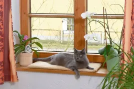 legowisko-poduszka-na-parapet-60-x-26-x-2-cm-kerbl