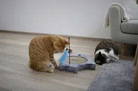 drapak-dla-kota-marie-tekturowy-41-5-x-33-x-5-cm-kerbl