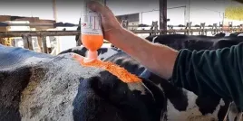 farba-wykrywajaca-ruje-daisy-z-pedzlem-czerwona-750-ml-kerbl