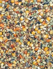 karma-dla-golebi-pierzeniowa-pe-extra-protein-25-kg-mdm