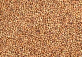 sorgo-czerwone-karma-pasza-zboze-dla-golebi-ptakow-papug-1kg