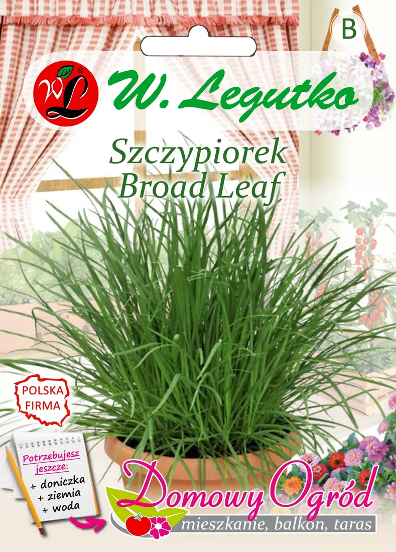 nasiona-szczypiorek-broad-leaf-2g-styl-ogrod-skalny-ogrod-wiejski
