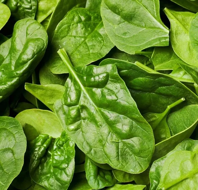 nasiona-rzezucha-10g-nazwa-lacinska-lactuca-sativa
