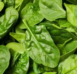 nasiona-rzezucha-10g-nazwa-lacinska-lactuca-sativa