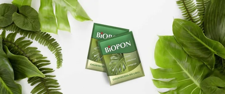 biopon-chusteczka-do-lisci-1-szt-stan-nowy-forma-inna
