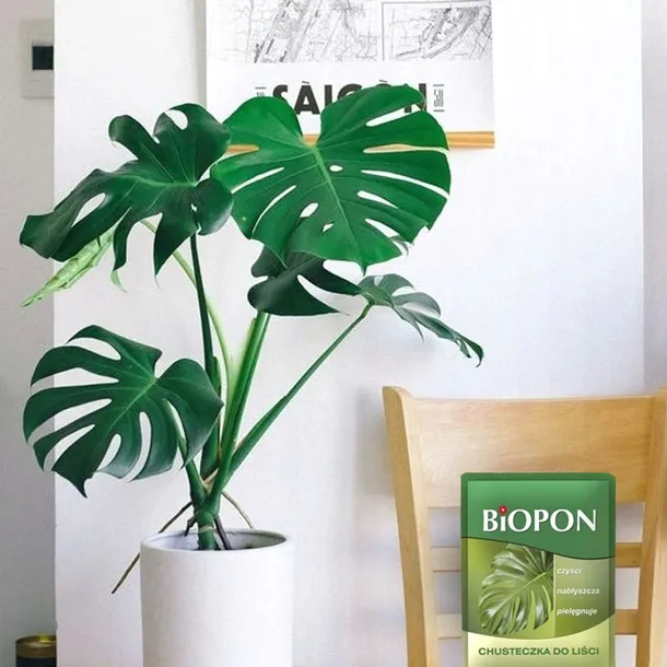 biopon-chusteczka-do-lisci-1-szt-stan-nowy-producent-bros