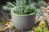 doniczka-okragla-muna-35-or-antracyt-wysokosc-produktu-26-cm