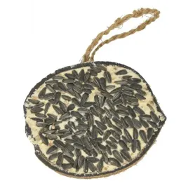 karma-tluszcz-slonecznik-w-kokosie-ptaki-wolnozyjace-gardenandfun-290g-1szt