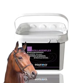 suplement-wspierajacy-uklad-ruchu-equinova-kollagenflex-2kg