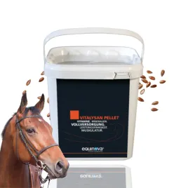 equinova-vitalysan-pellet-10-kg