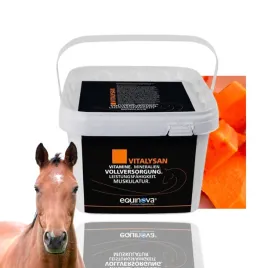 equinova-vitalysan-powder-10-kg-mieszanka-mineralno-witaminowa