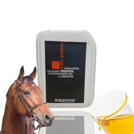 equinova-x-oil-energy-5-l-zrodlo-energii-dla-koni