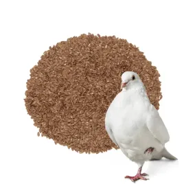 siemie-lniane-brazowe-karma-dla-ptakow-kanarkow-naturalna-w-pierzeniu-1-kg