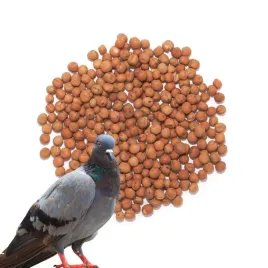 peluszka-brazowa-bogate-w-bialko-witaminy-dla-ptakow-golebi-1-kg