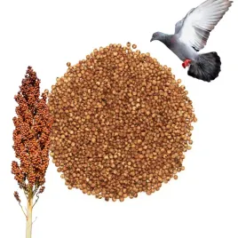 sorgo-czerwone-karma-dla-ptakow-naturalna-wysokoenergetyczna-1-kg