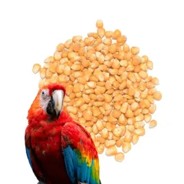 kukurydza-standard-drobna-dla-papug-golebi-1-kg