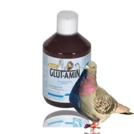 backs-glut-amin-aminokwasy-dla-szybkiej-regeneracji-golebi-500ml