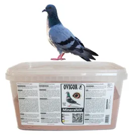 mineralvit-dla-golebi-maczka-mineralna-z-witaminami-aminokwasami-ovigor-5kg