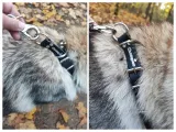 champion-kolczatka-1-rym-kod-producenta-mko-1r
