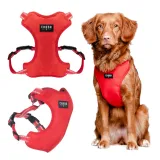 chaba-szelki-guard-comfort-classic-l-czerwone-maksymalny-obwod-klatki-64-cm