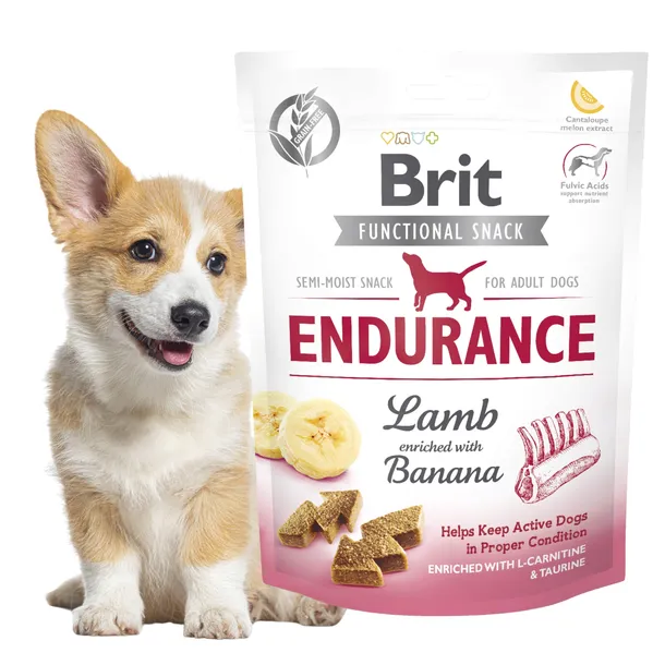 brit-functional-snack-endurance-lamb-150g-rodzaj-ciasteczka