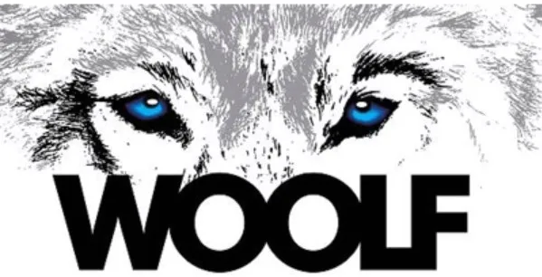 woolf-rabbit-and-cod-triangle-100g-smak-krolik