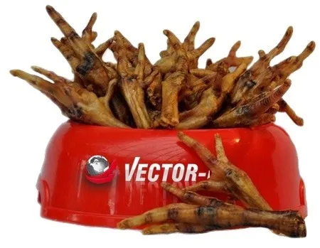vector-food-stopki-kurze-suszone-5szt