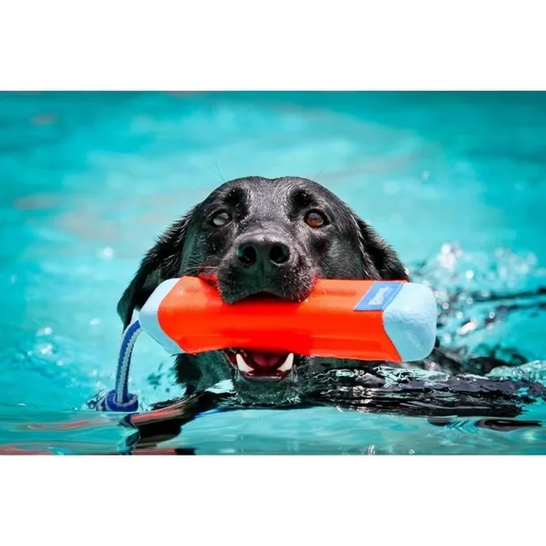 chuckit-amphibious-bumper-medium-18300-stan-nowy-kod-producenta-660048183006