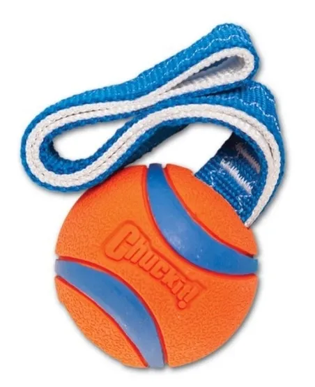 chuckit-ultra-tug-small-231101