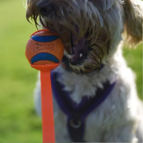 chuckit-ball-launcher-12m-6300-marka-chuckit-waga-150-g