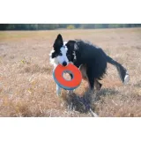 chuckit-zipflight-21cm-18100-stan-nowy-kod-producenta-660048181002