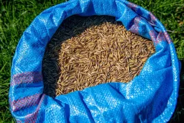 worek-polipropylenowy-50x85-cm-niebieski-25-kg