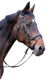 oglowie-dla-konia-classic-czarny-roz-full-covalliero