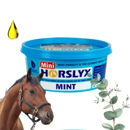 horslyx-mint-masa-energetyczna-dla-koni-w-formie-blokow-650g