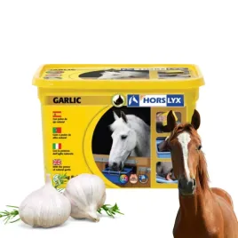 horslyx-garlic-lizawka-5kg