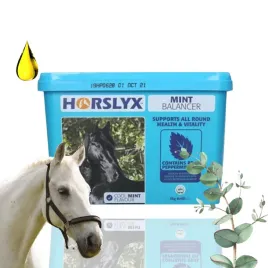 horslyx-mint-masa-energetyczna-dla-koni-w-formie-blokow-5kg