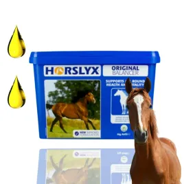 horslyx-original-masa-energetyczna-dla-koni-w-formie-blokow-5kg
