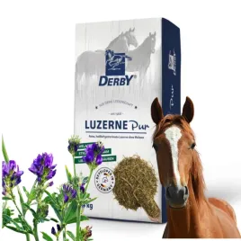 derby-luzerne-pur-sieczka-z-lucerny-dla-koni-15kg