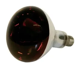 promiennik-zarowka-hartowana-kwoka-250w-kerbl-czer
