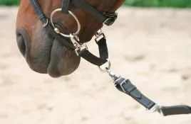 mostek-do-lonzowania-dla-konia-covalliero