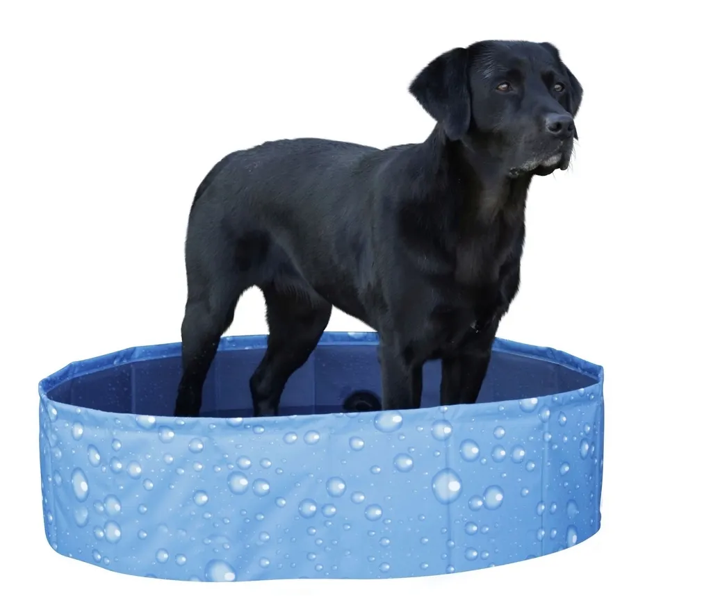 basen-dla-psa-bubble-80-x-80-x-20-cm-kerbl