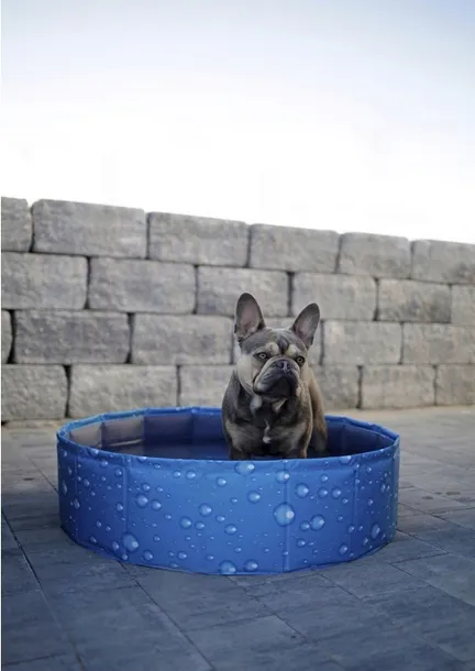 basen-dla-psa-bubble-80-x-80-x-20-cm-kerbl-stan-nowy-kod-producenta-basen-dla-psow-80-x-80-x-20cm-niebieski-kerbl