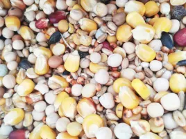 karma-dla-golebi-uniwersalna-u-best-natural-25kg