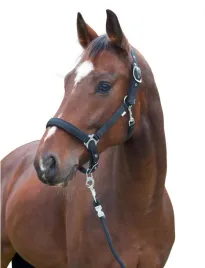 kantar-dla-konia-dexter-czarny-roz-pony-covalliero