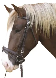 oglowie-dla-konia-zimnokrwistego-braz-covalliero