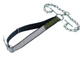 wiazanie-dla-byka-z-2-lancuchami-profi-170-x7cm